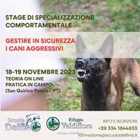 Stage di specializzazione comportamentale “Gestire in sicurezza i cani aggressivi”