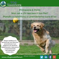 Rifugio Valdiflora è pensione per cani