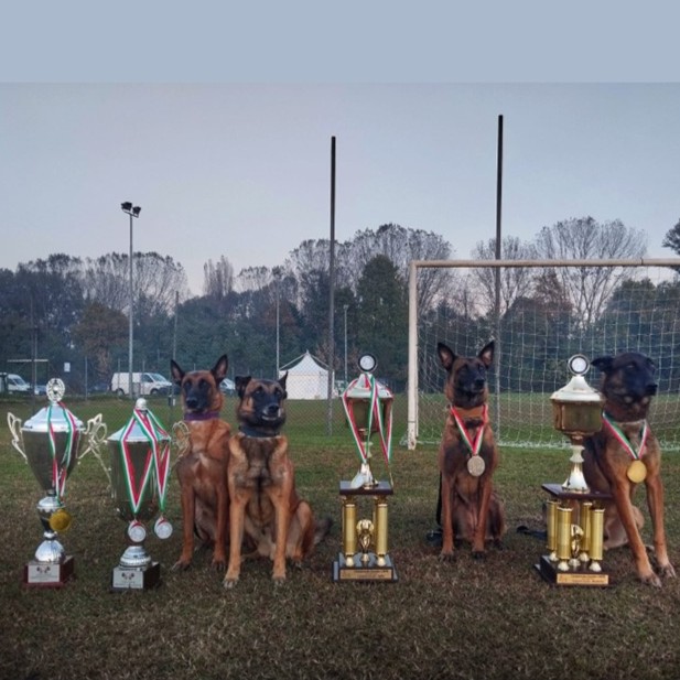 Cani famiglia Corradini