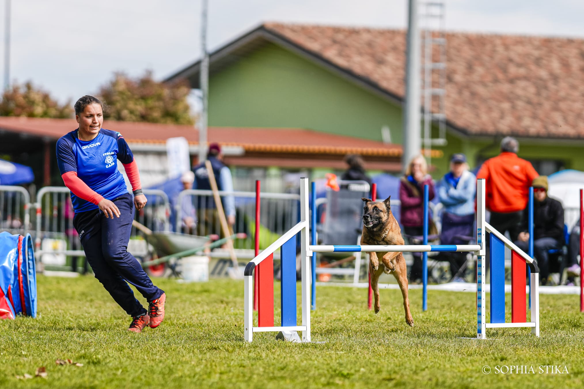 rachele-corradini-agility