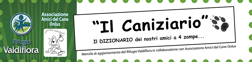 Il Canizario - Il dizionario dei nostri amici 4 zampe